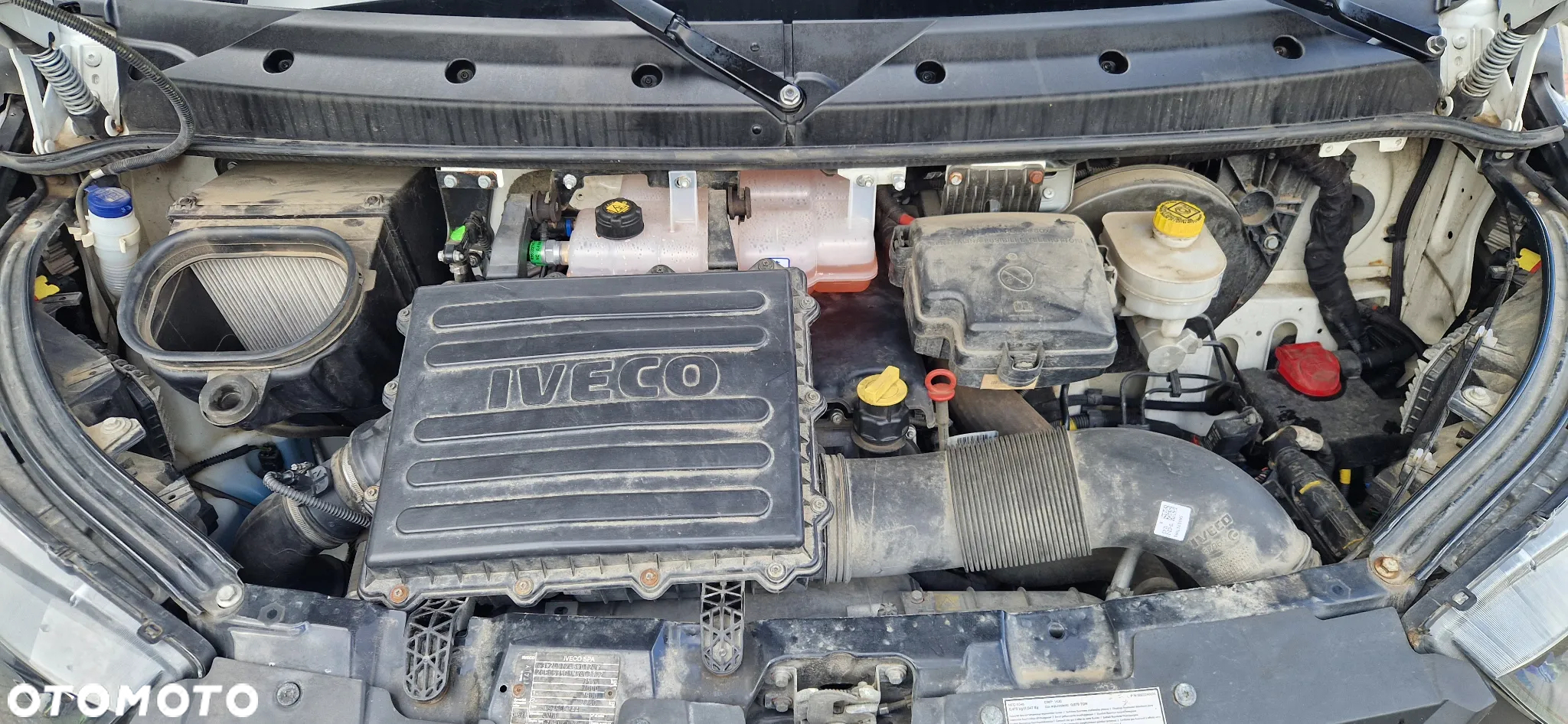 Iveco Daily - 31