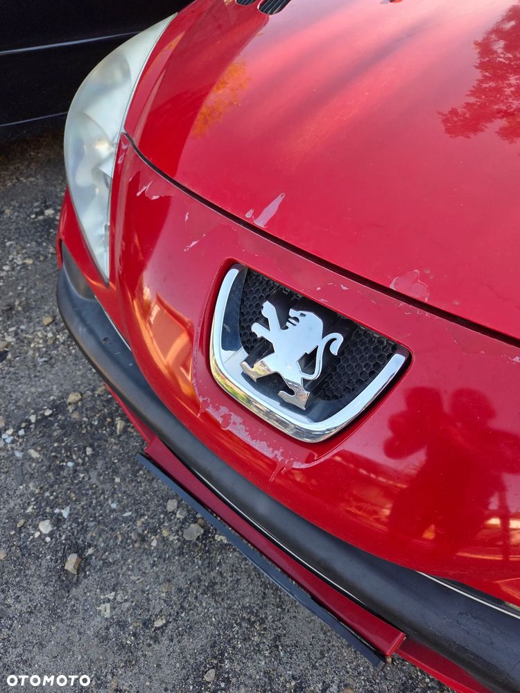 Peugeot 206 - 25