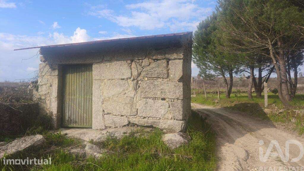 Terreno Agrícola em Seixo da Beira - Grande imagem: 3/24