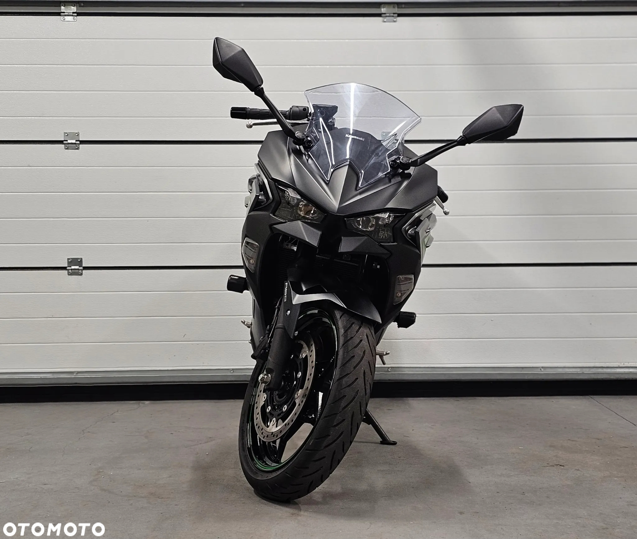 Kawasaki Ninja - 7