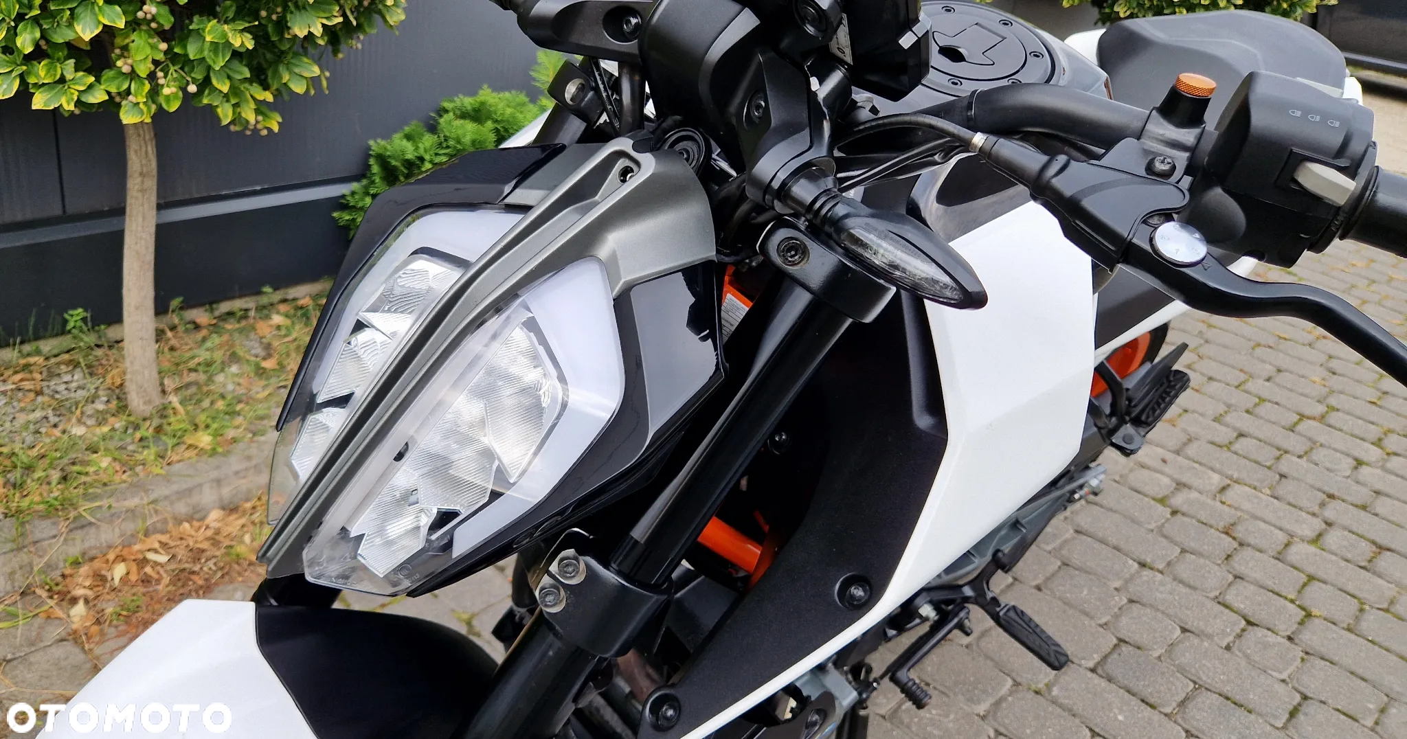 KTM Duke - 25