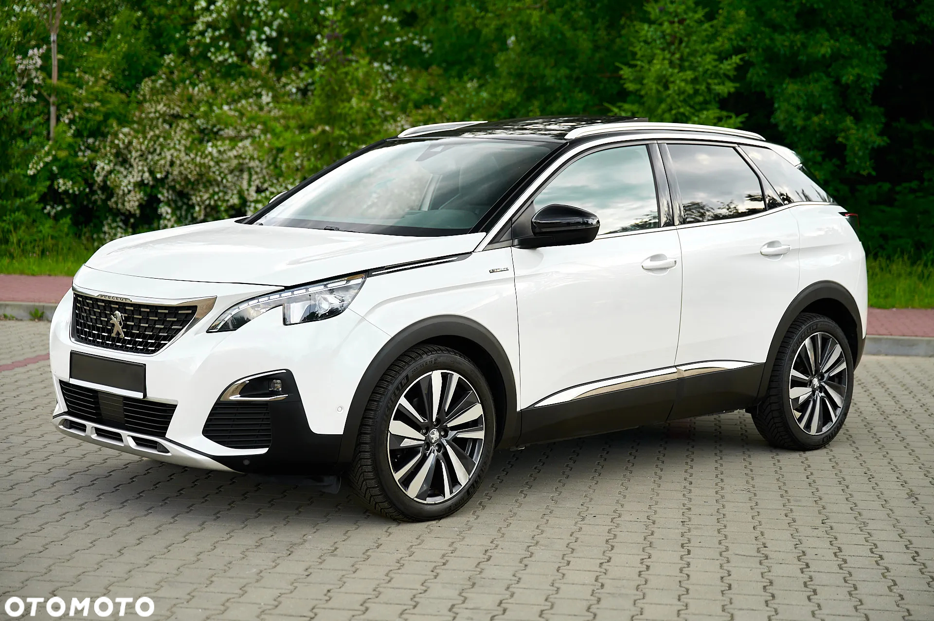Peugeot 3008 1.5 BlueHDi GT S&S - 10