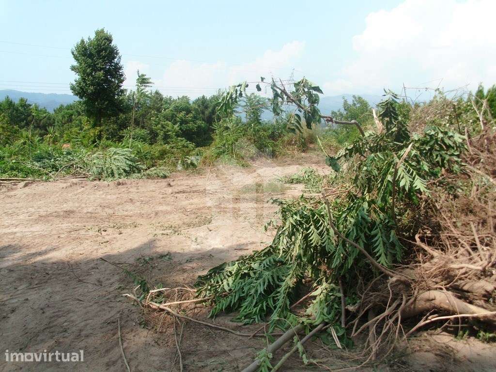 Terreno Venda Póvoa de Lanhoso - Grande imagem: 5/9
