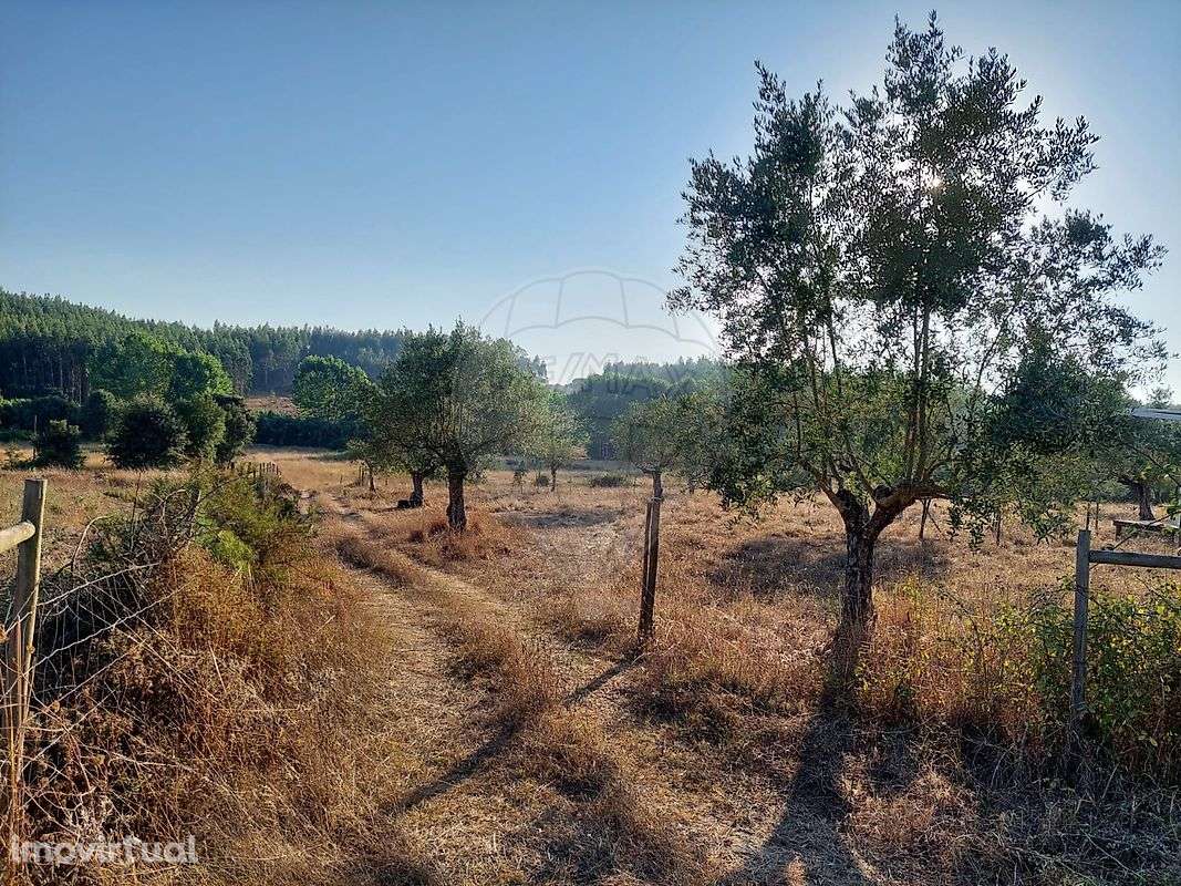 Terreno  para venda - Grande imagem: 5/14