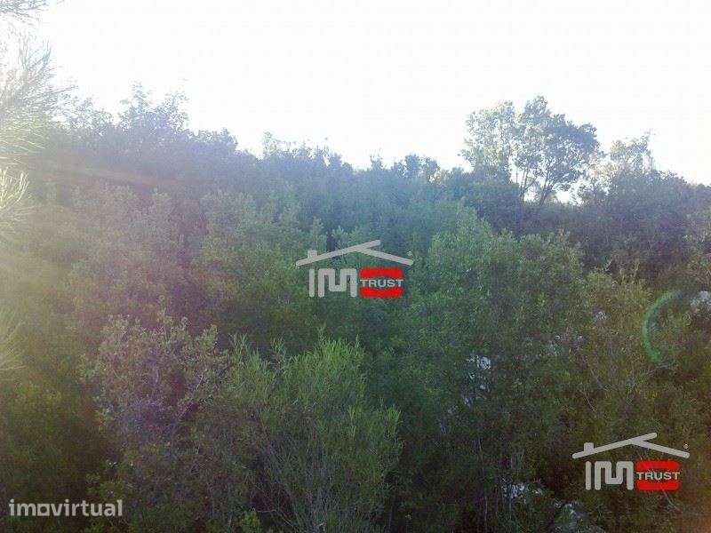 Terreno - Grande imagem: 5/8