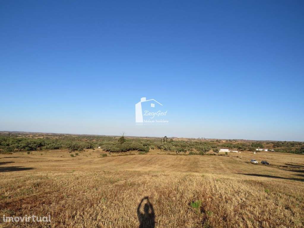 Terreno Rústico com 39.100m2 perto da Barragem da Rocha - Grande imagem: 4/16