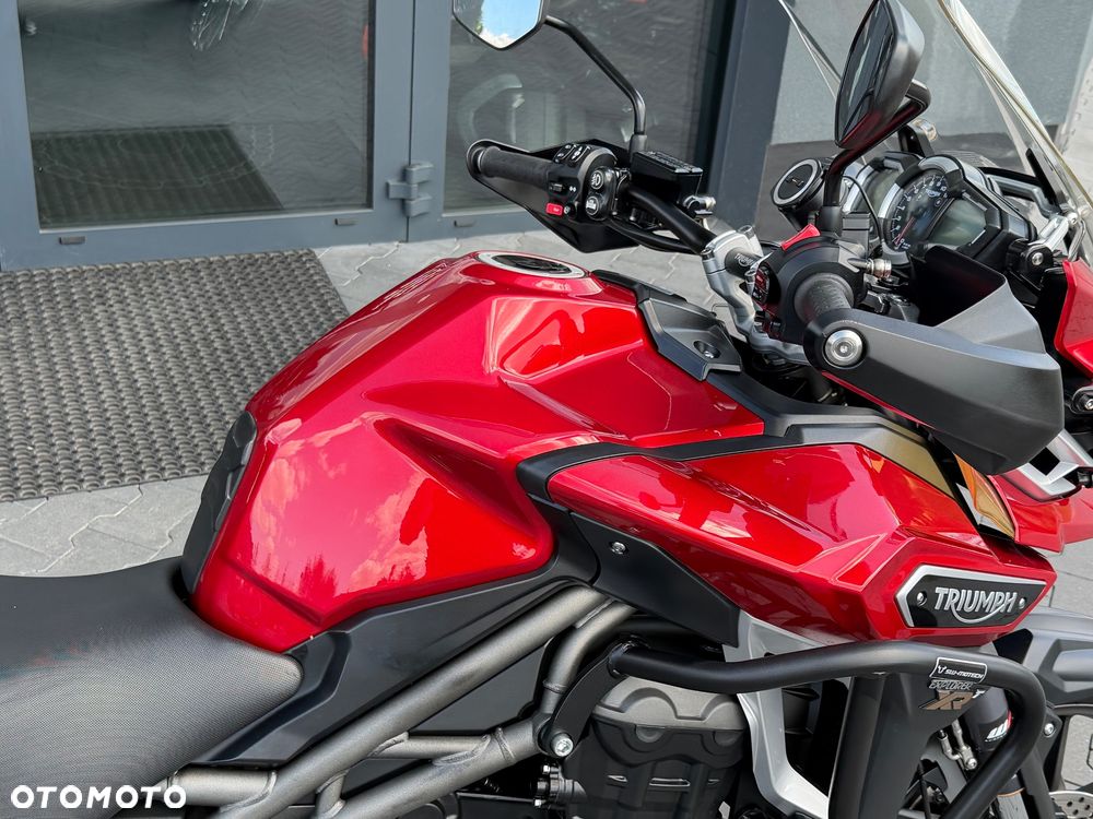 Triumph Tiger - 13