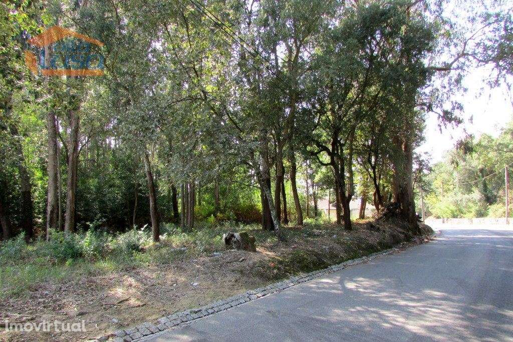 Terreno Grijo, para a contrução de Moradia de 4 frentes - Grande imagem: 3/11