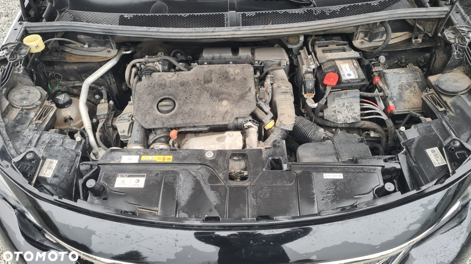 Peugeot 5008 1.5 BlueHDi Allure Pack S&S EAT8 - 19