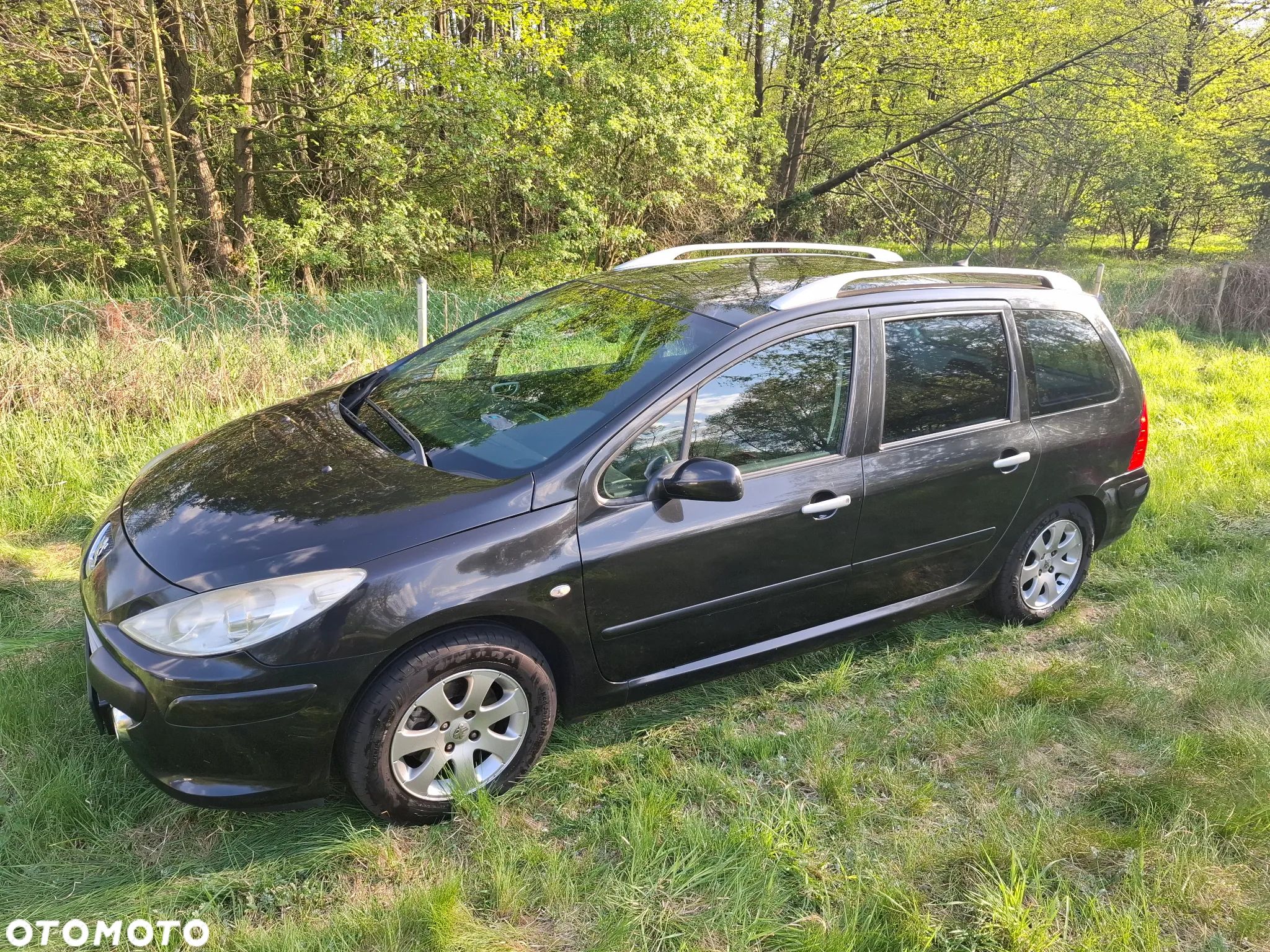 Peugeot 307 - 1