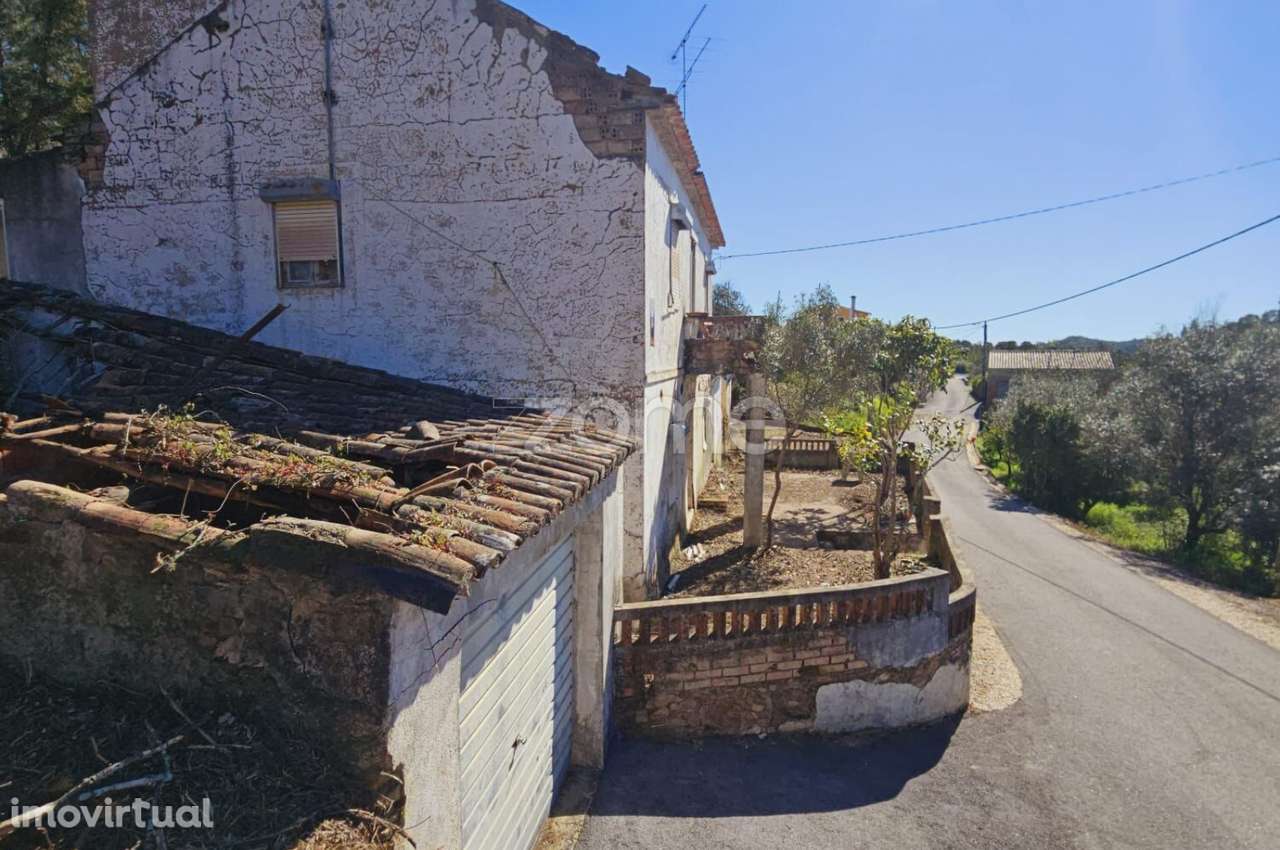 Moradia | Terreno 6530 m2 | Entrevinhas | Sardoal - Grande imagem: 5/35