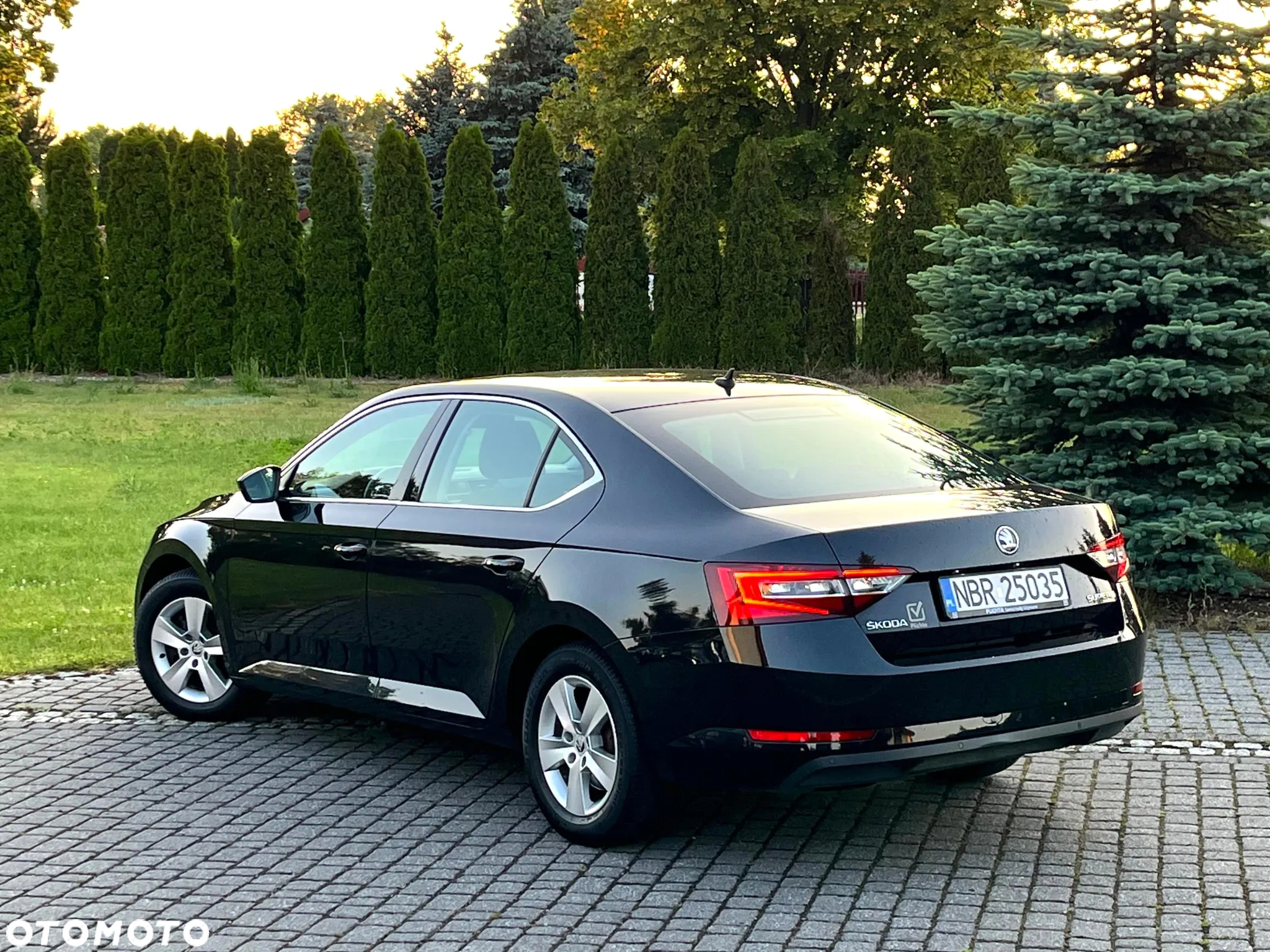 Skoda Superb - 8
