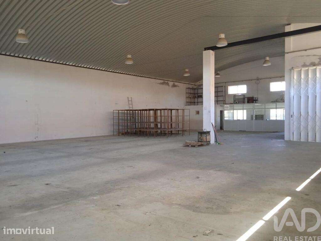 Hangar em Constantim e Vale de Nogueiras de 580,00 m2 - Grande imagem: 5/30
