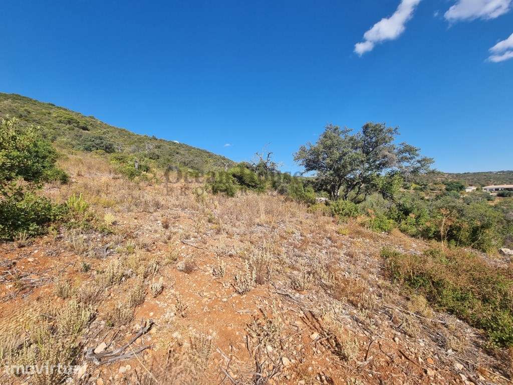 Terreno rustico de 6100m2 com vista mar, no cerro do Guilhim - Esto... - Grande imagem: 5/15