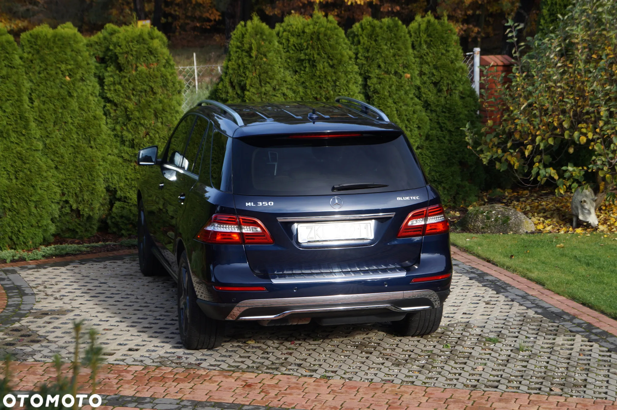 Mercedes-Benz ML 350 BlueTec 4-Matic - 10