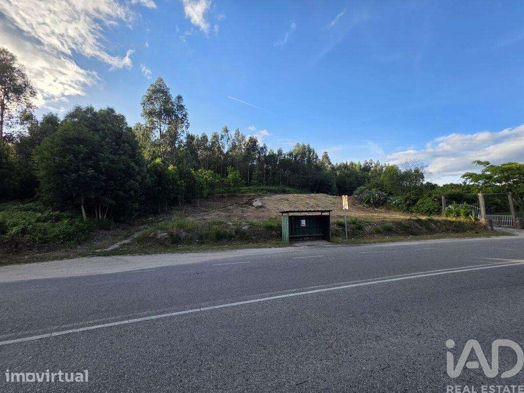 Terreno em Treixedo e Nagozela - Grande imagem: 5/6