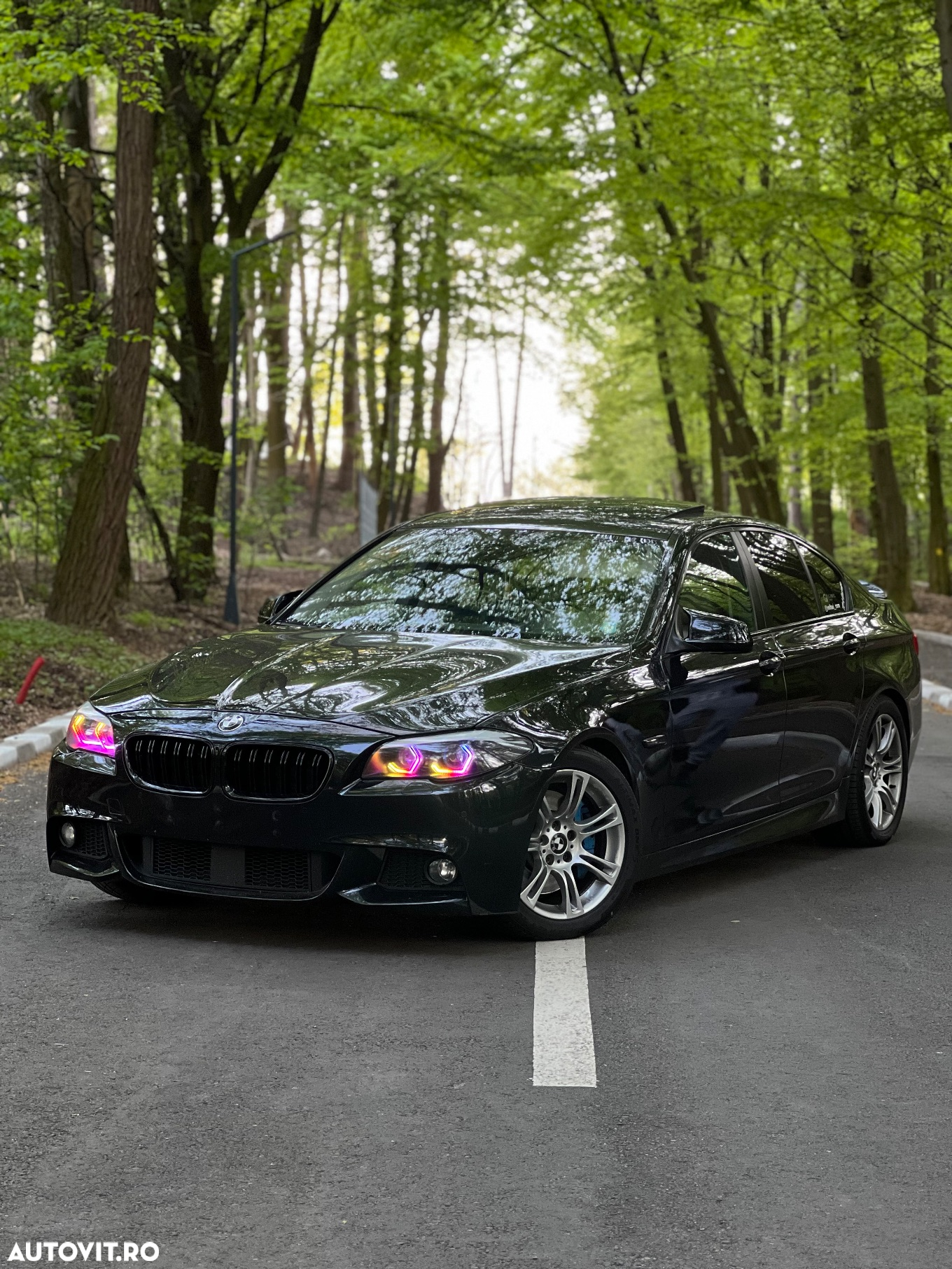 BMW Seria 5 530d xDrive - 15