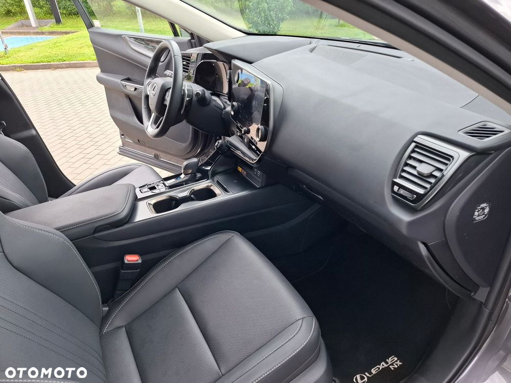 Lexus NX - 15