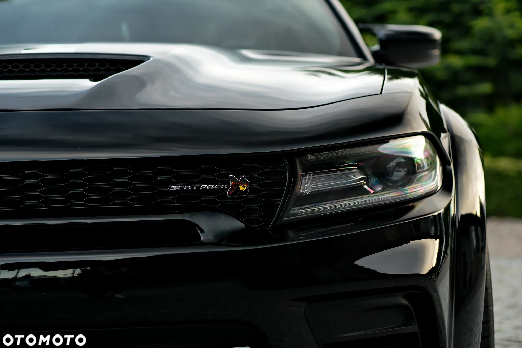 Dodge Charger 6.4 Scat Pack Widebody - 24
