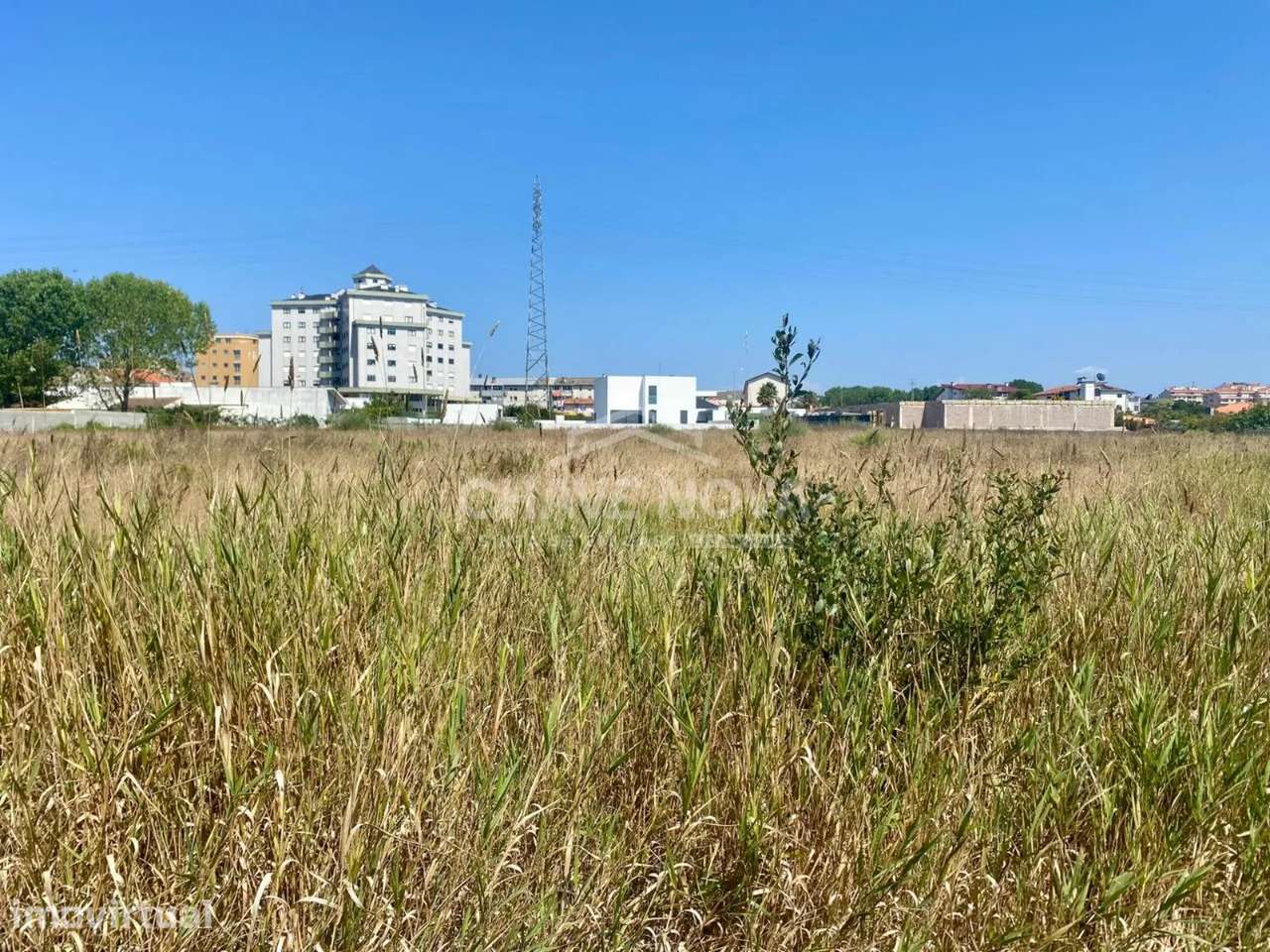Terreno à Venda em Esmoriz de 1600m2 – Perto da Avenida da Praia - Grande imagem: 3/6