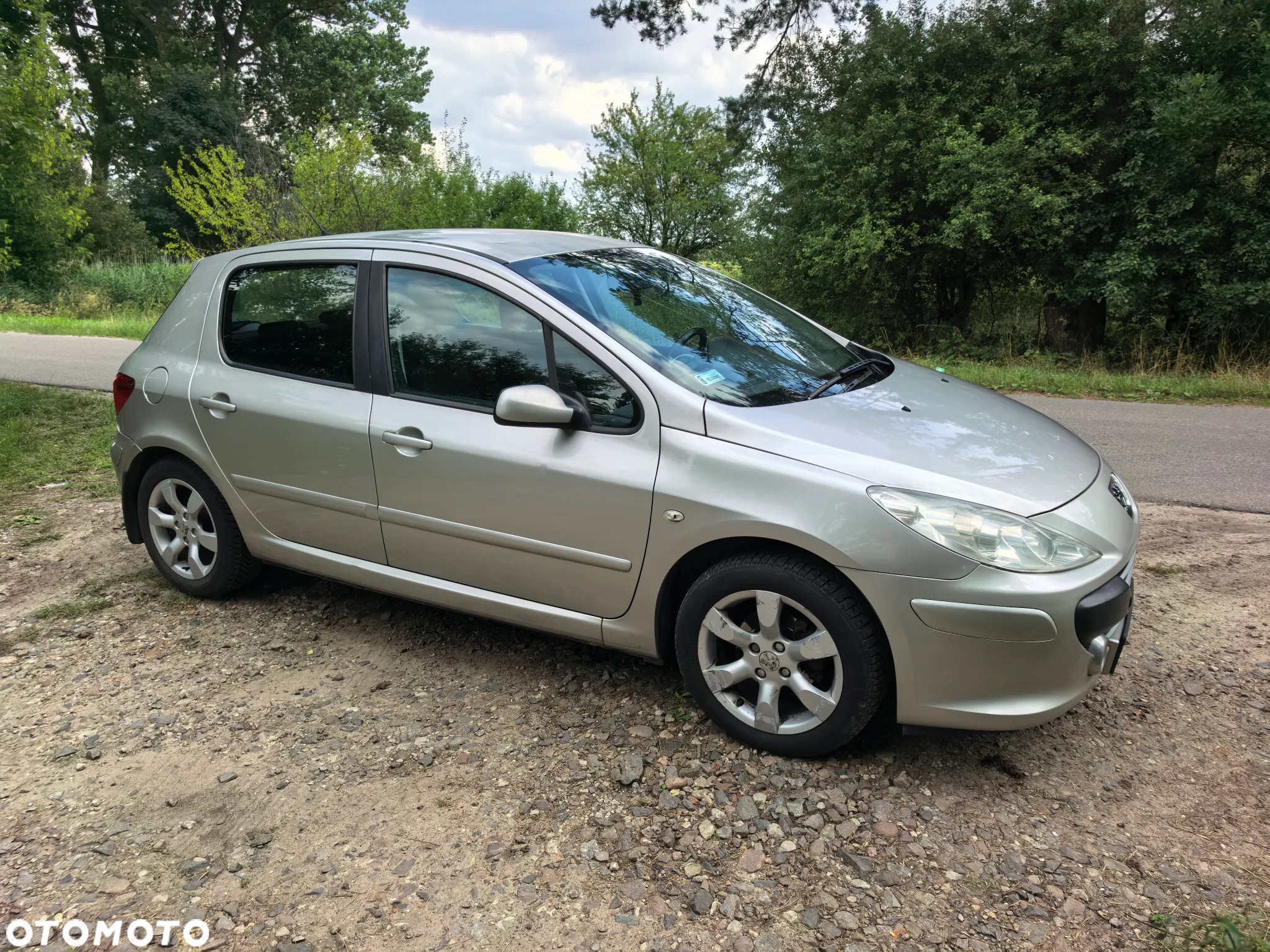 Peugeot 307 1.6 Oxygene - 5