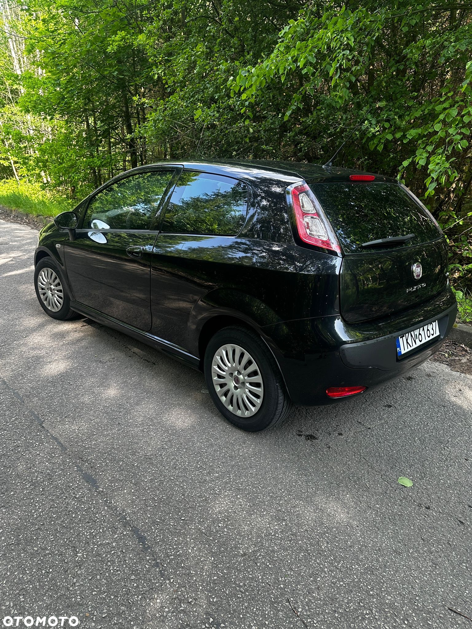 Fiat Punto - 7