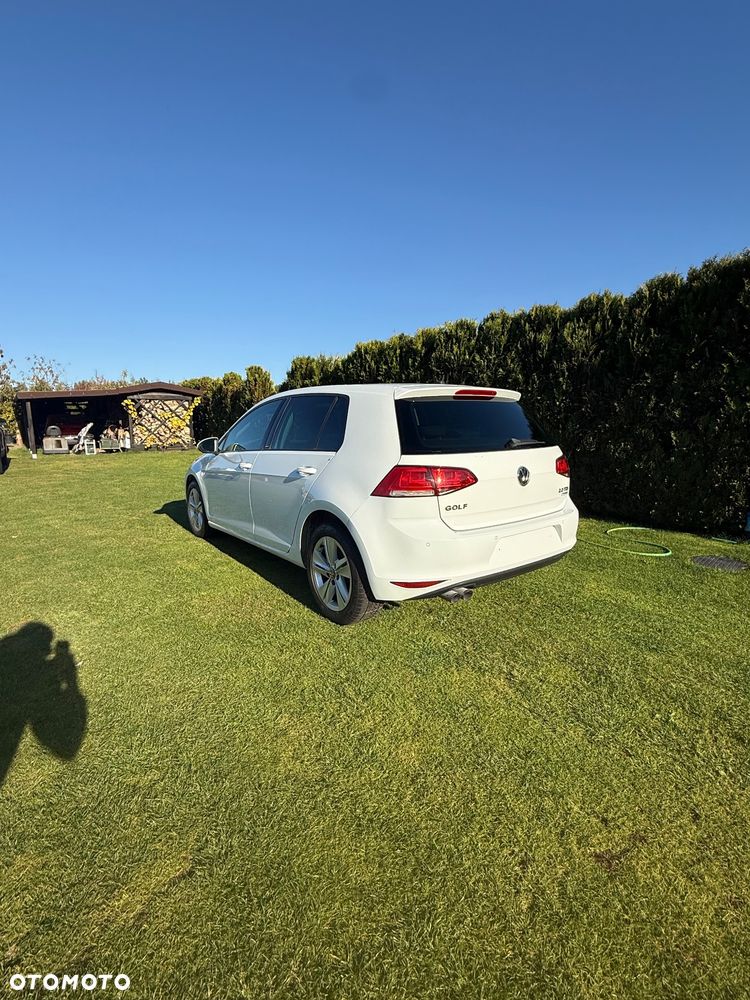 Volkswagen Golf - 8