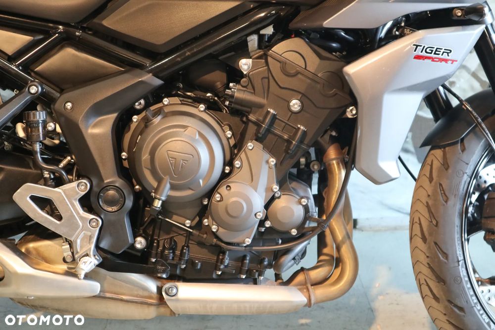 Triumph Tiger - 16