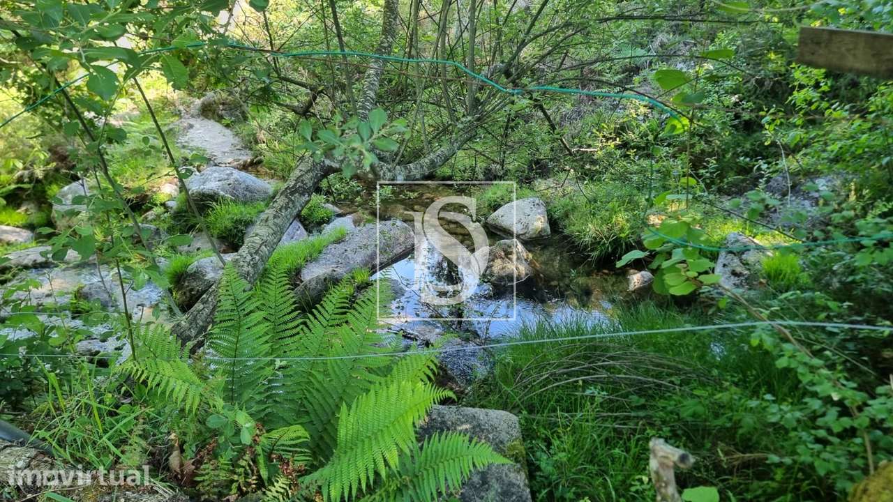 Terreno Rústico  Venda em Cabril,Montalegre - Grande imagem: 2/41