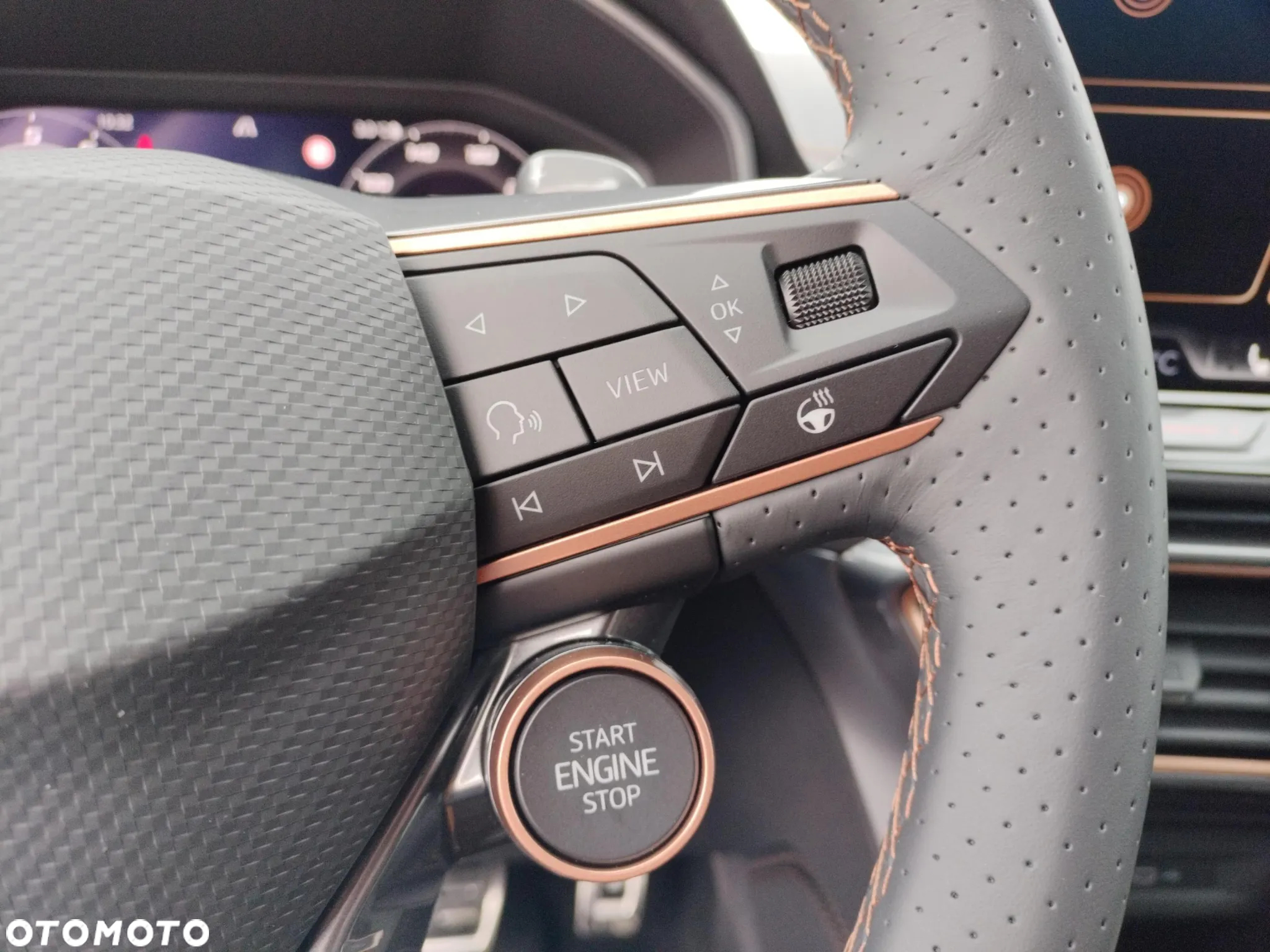 Cupra Formentor 1.5 eTSI mHEV DSG - 25