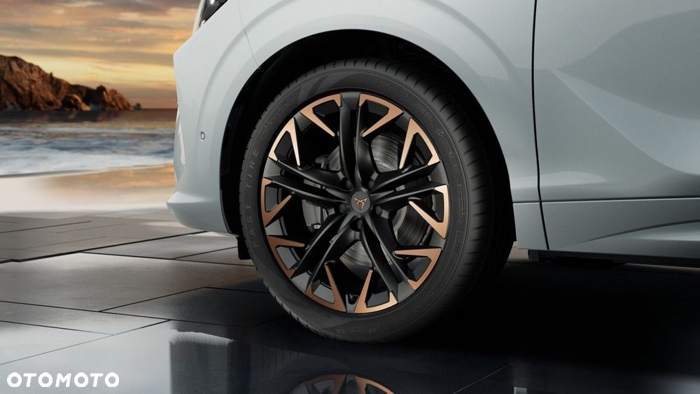 Cupra Terramar 2.0 TSI 4Drive DSG - 8