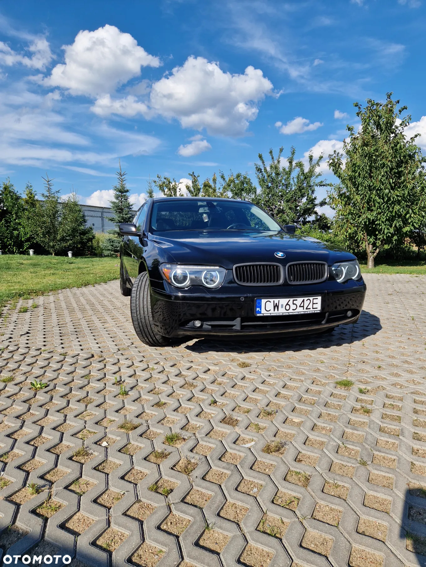 BMW Seria 7 745i L - 3