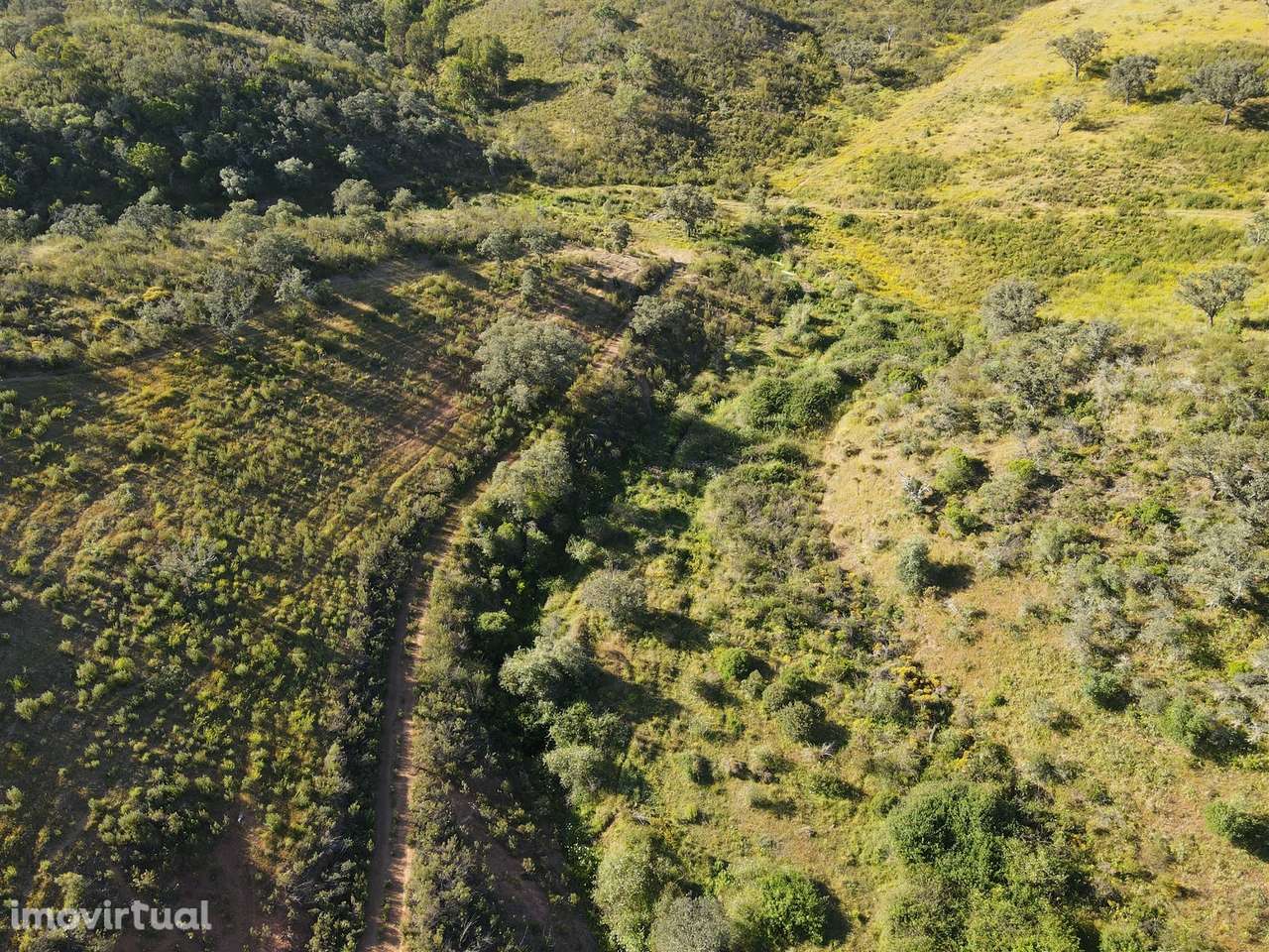 Terreno Rústico  Venda em Ourique,Ourique - Grande imagem: 5/31