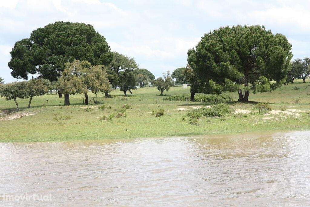 Terreno para construção T16 em Poceirão e Marateca de 20903,00 m2 - Grande imagem: 2/30