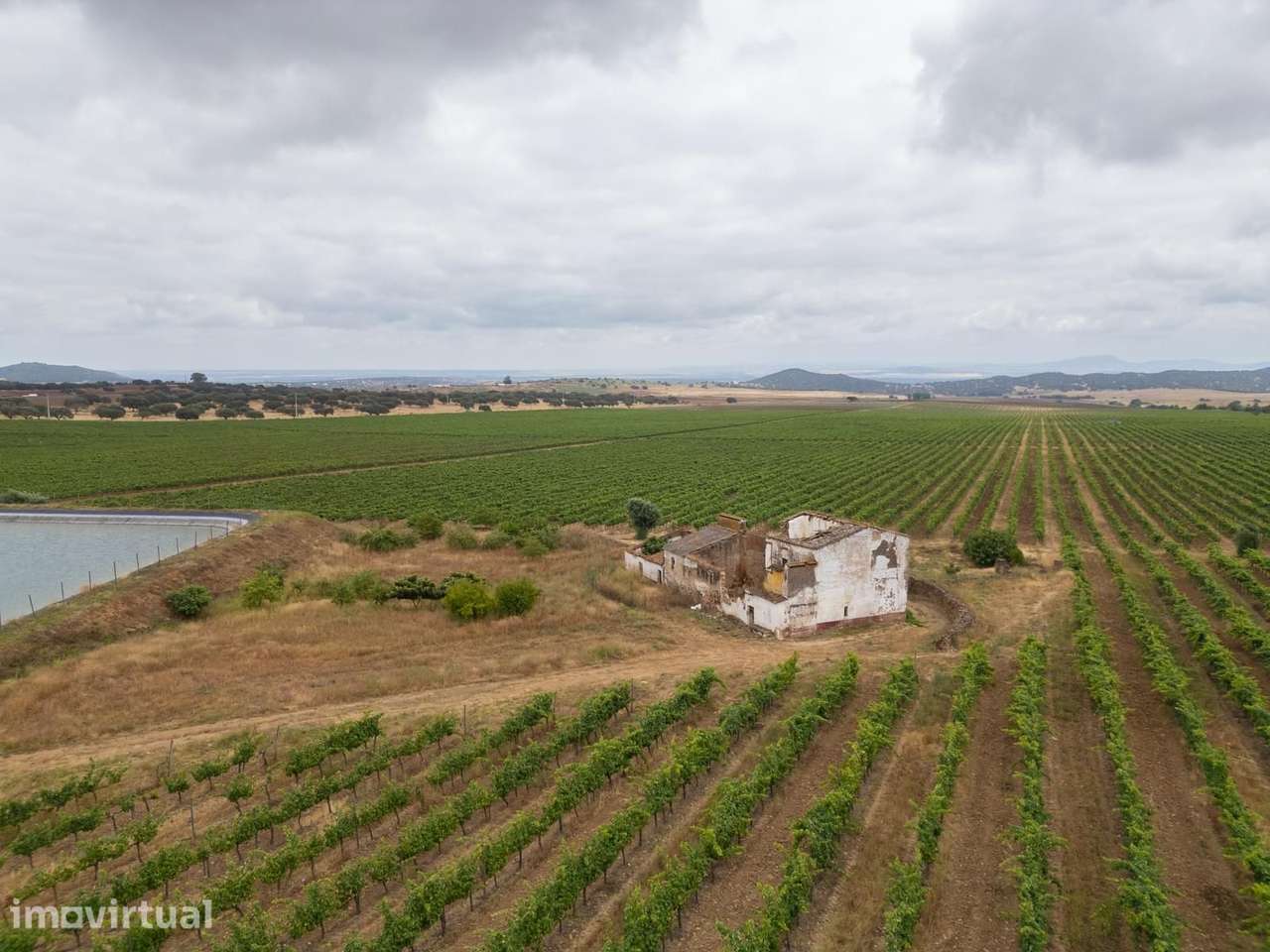 Terreno Misto 96.5 ha, Ciladas, Vila Viçosa - Grande imagem: 4/24