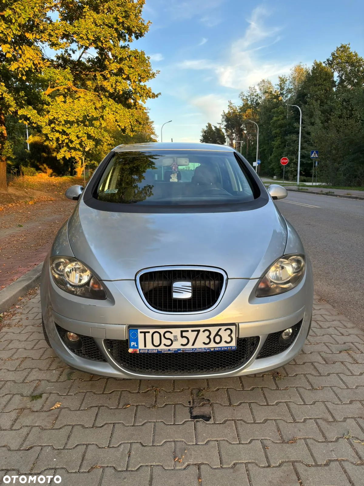 Seat Altea 1.6 Reference Comfort - 6