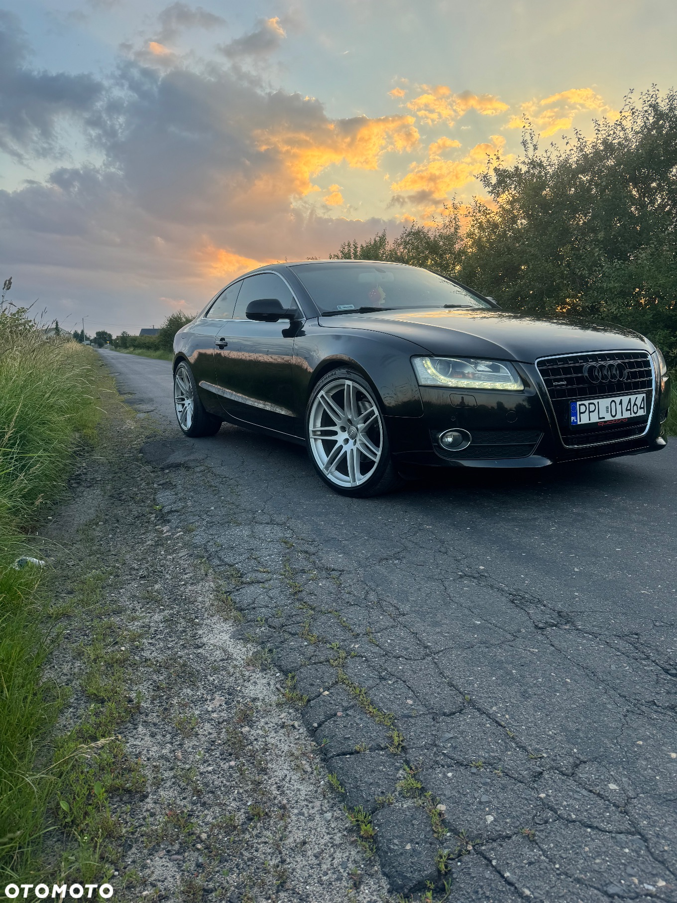 Audi A5 3.0 TDI Quattro Tiptr - 13