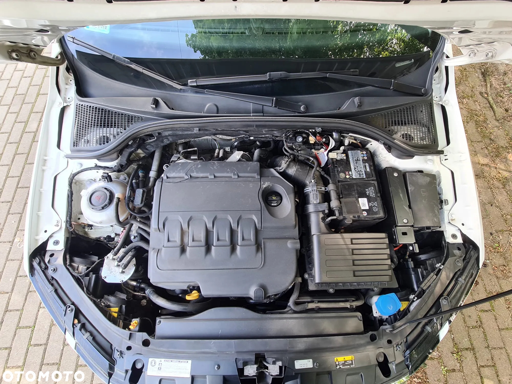 Skoda Octavia 1.6 TDI Ambition - 39