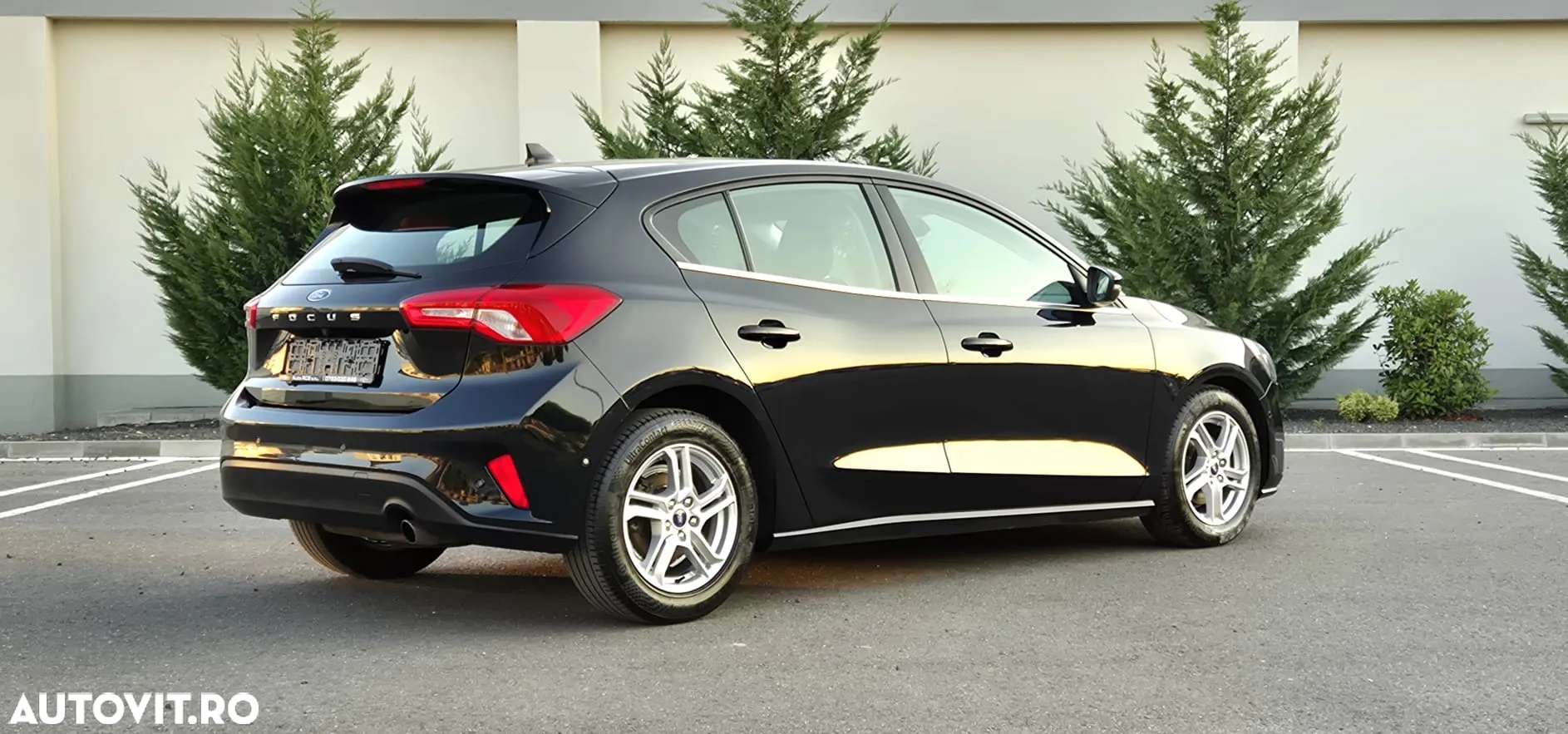Ford Focus - 7