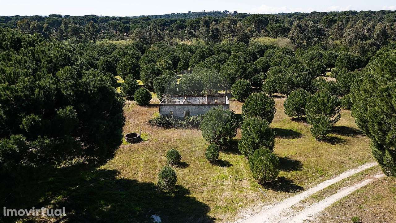 Quinta  para venda - Grande imagem: 4/30