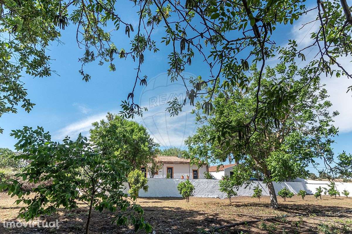 Moradia T3 para venda - Grande imagem: 5/42