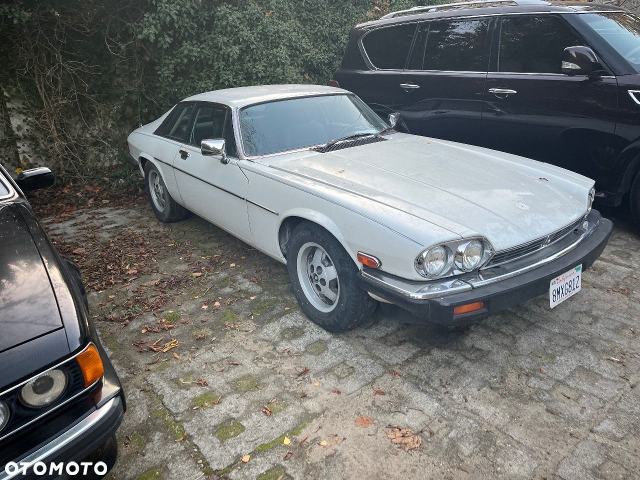 Jaguar XJS Convertible 5.3 - 1