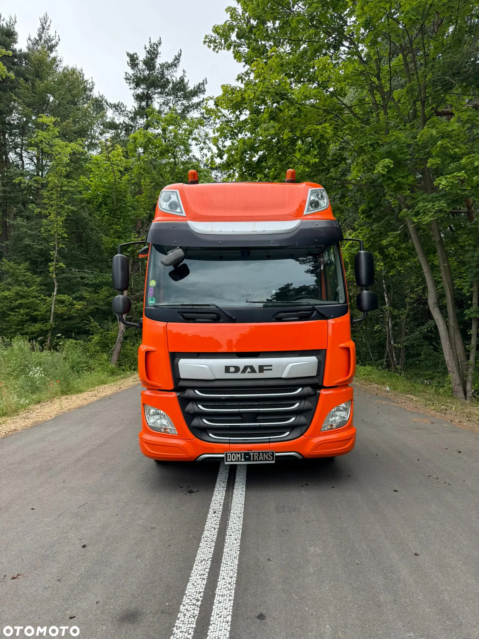 DAF CF 450 FT/STANDARD/NOWE OPONY/IMPORT NIEMCY - 3