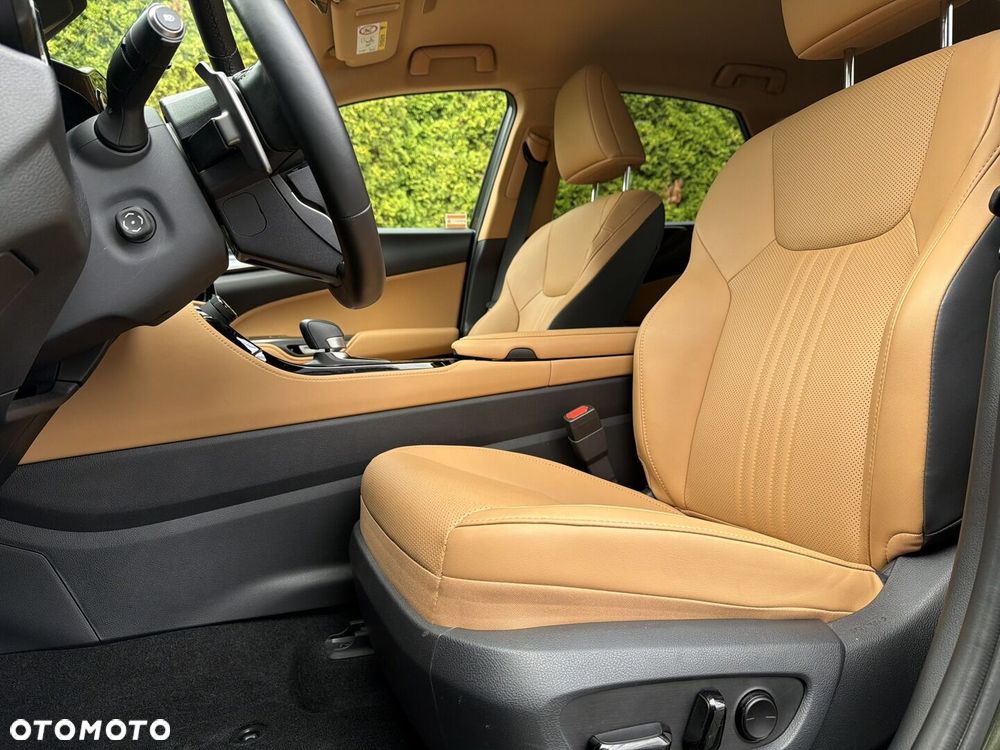 Lexus NX - 13