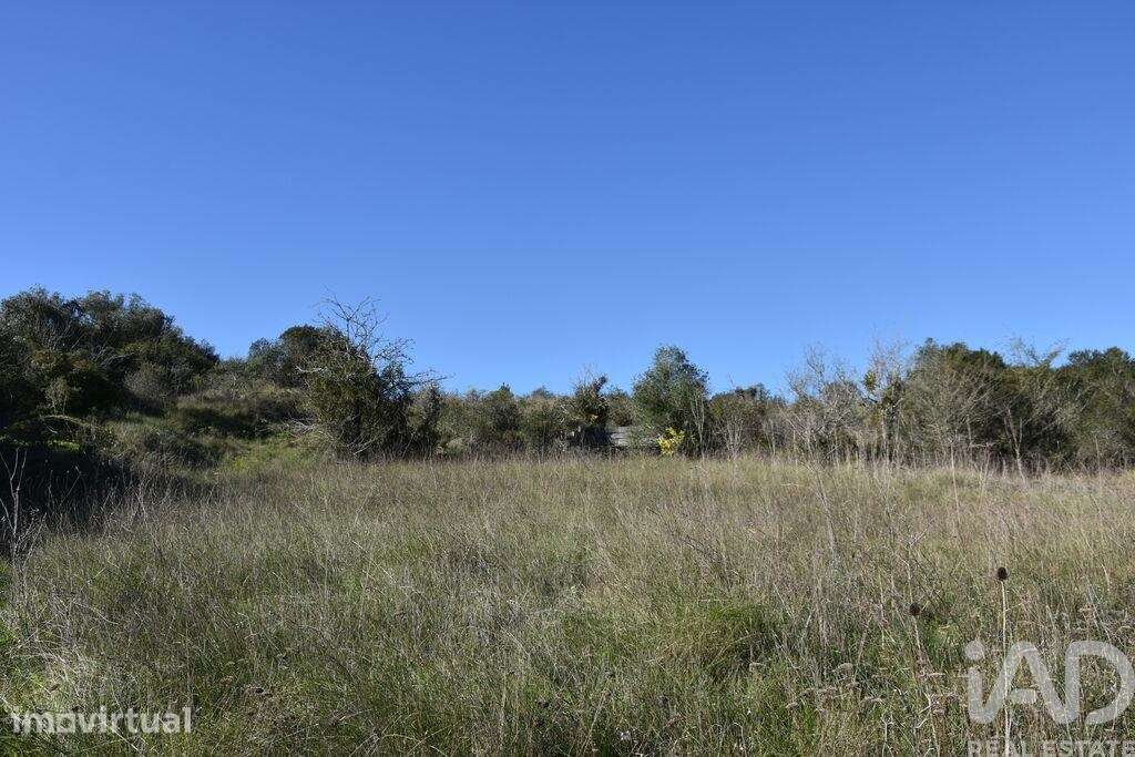 Terreno em Chãos de 9160,00 m2 - Grande imagem: 5/30
