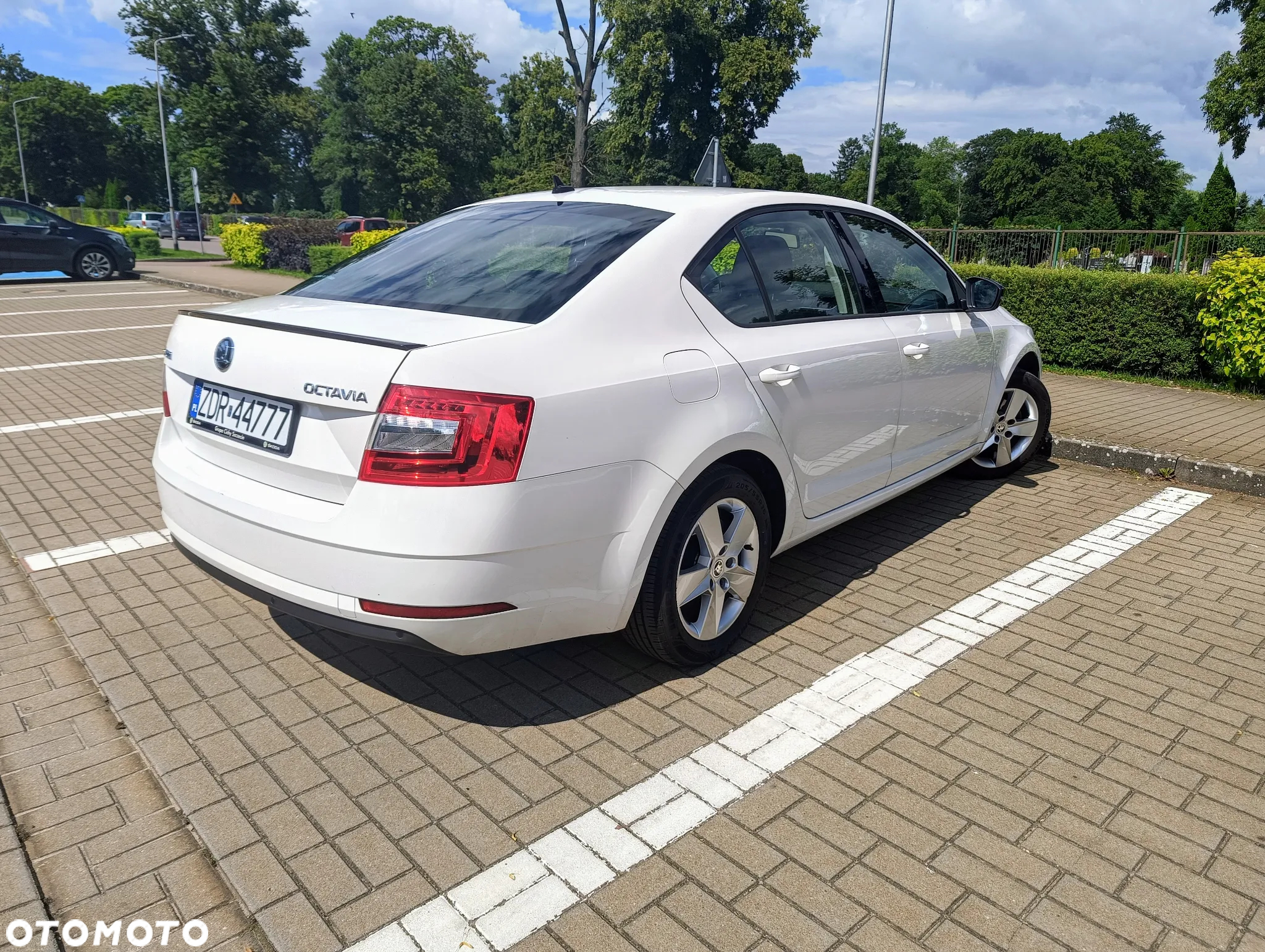 Skoda Octavia - 3