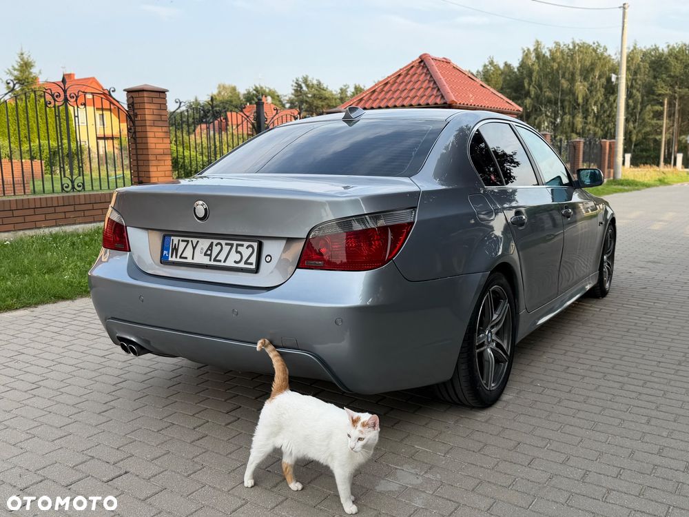 BMW Seria 5 - 18