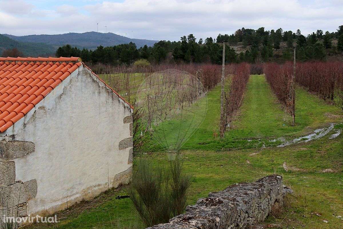Quinta  para venda - Grande imagem: 5/10