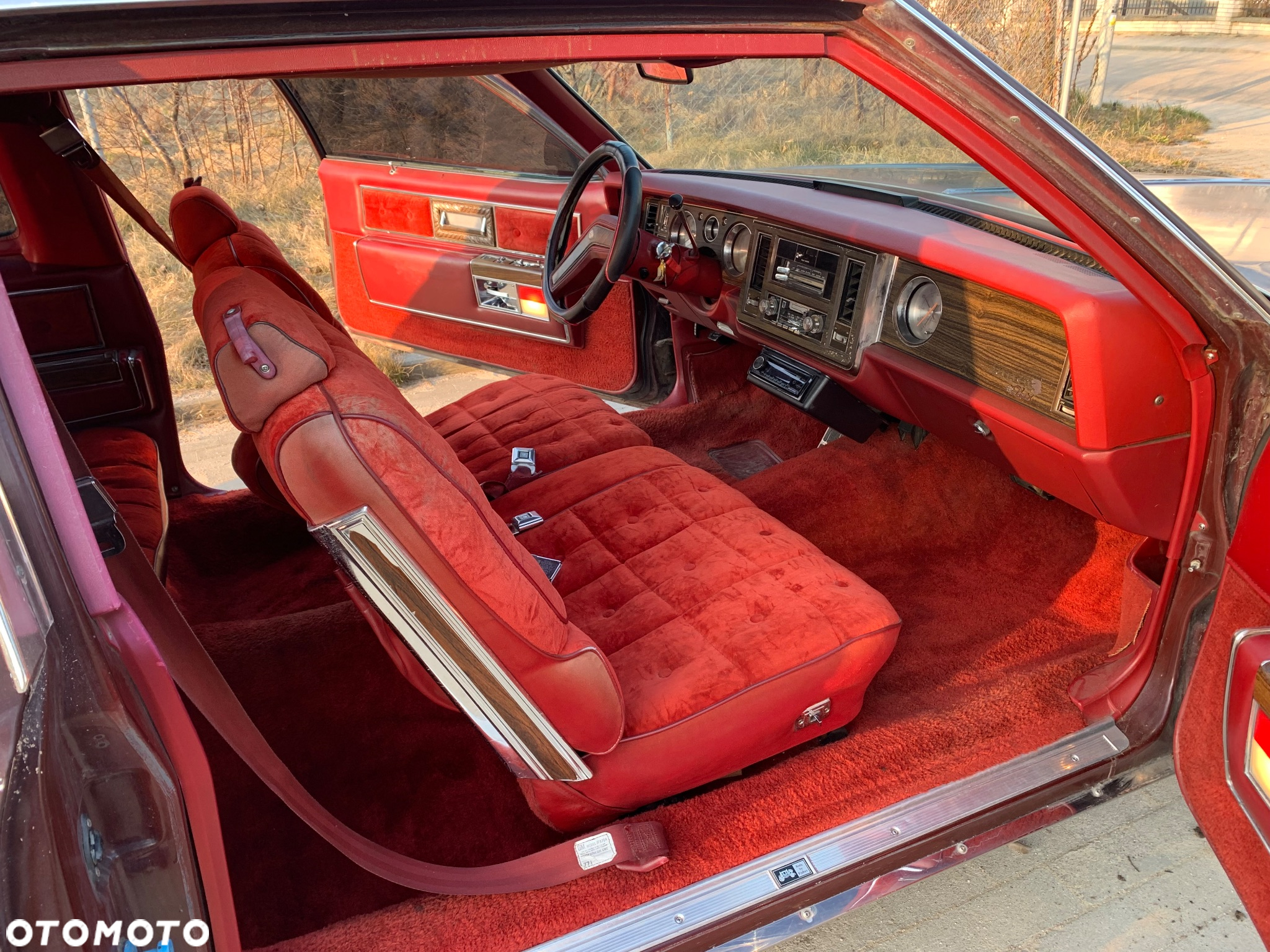Buick Electra - 7