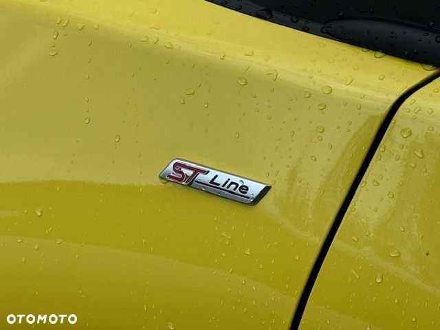 Ford Puma - 14